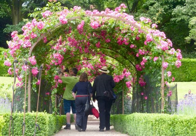 Group walking through the pink rose arch